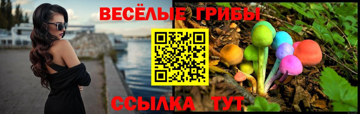 Галлюциногенные грибы мицелий Дербент