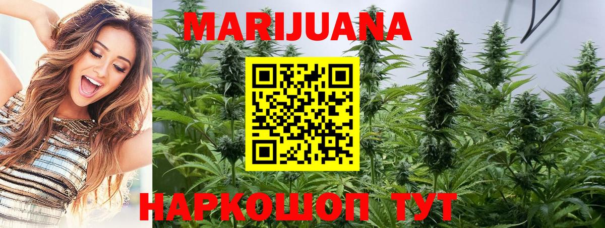 Каннабис индика Дербент